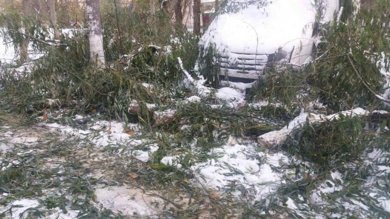 FOTO Pe mai multe adrese din Capitală au fost raportate căderi de arbori peste automobile și fire de electricitate