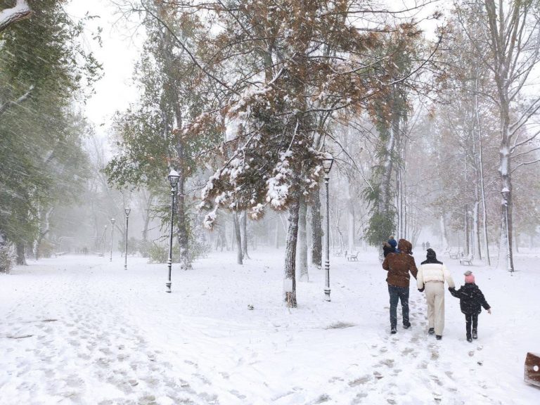 meteo, ninsoare, iarna