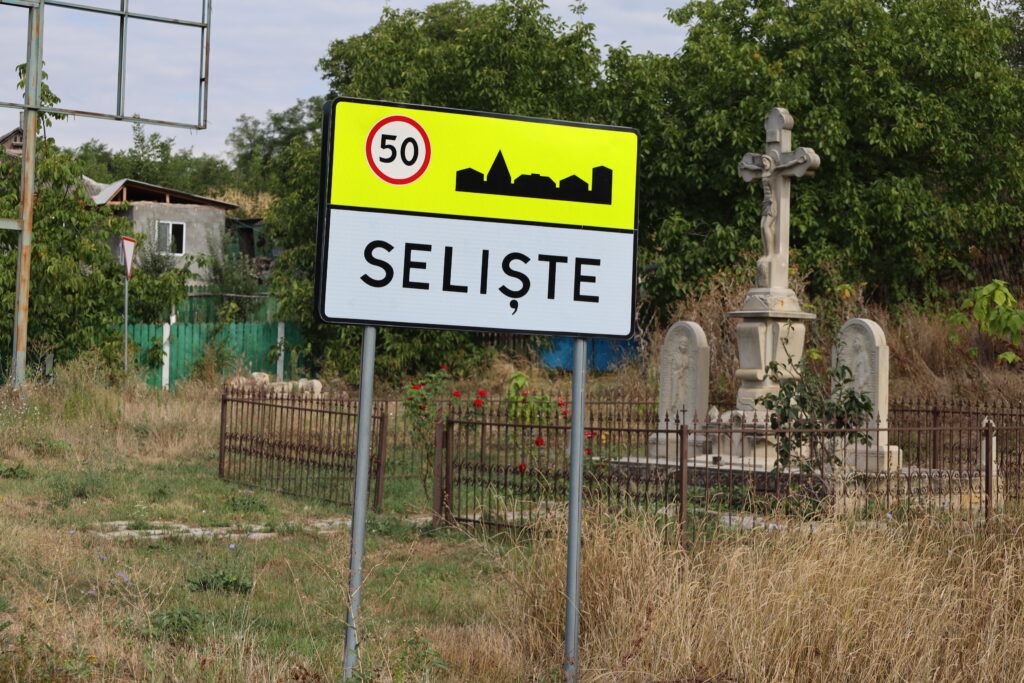 seliște