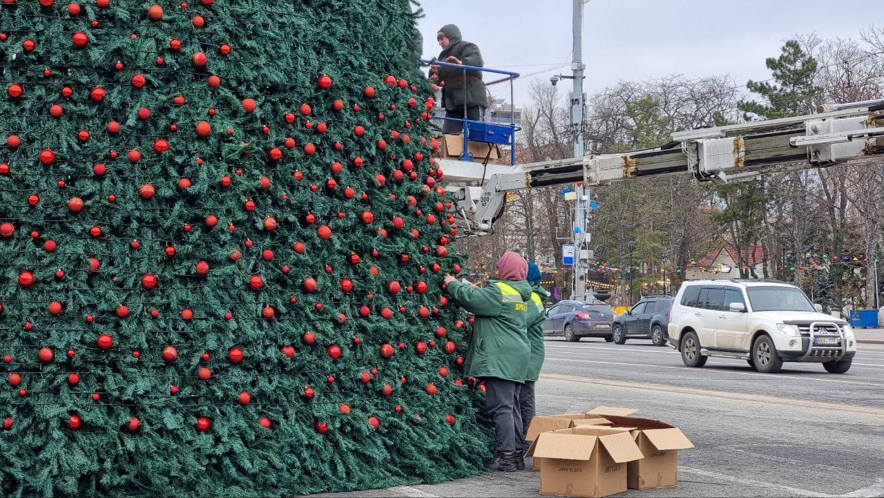 A început decorarea celui mai mare brad din Capitală. Află când se vor aprinde luminițele