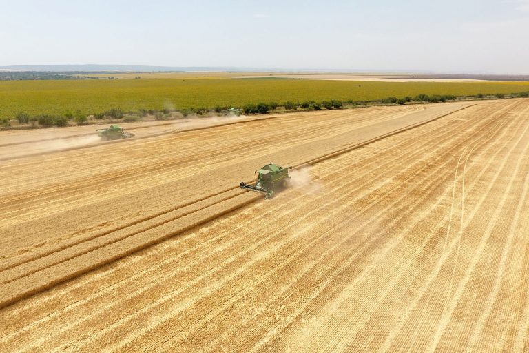 UE a prelungit cu încă un an suspendarea taxelor pentru exporturile ucrainene