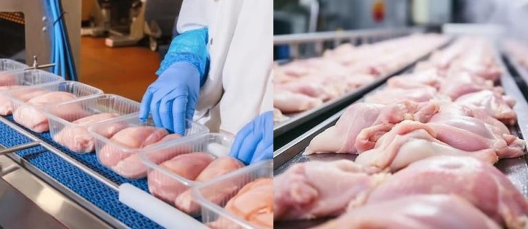 Noi certificate sanitar-veterinare pentru importul de hrană și carne de pasăre din Ucraina aprobate de ANSA la Vinnița