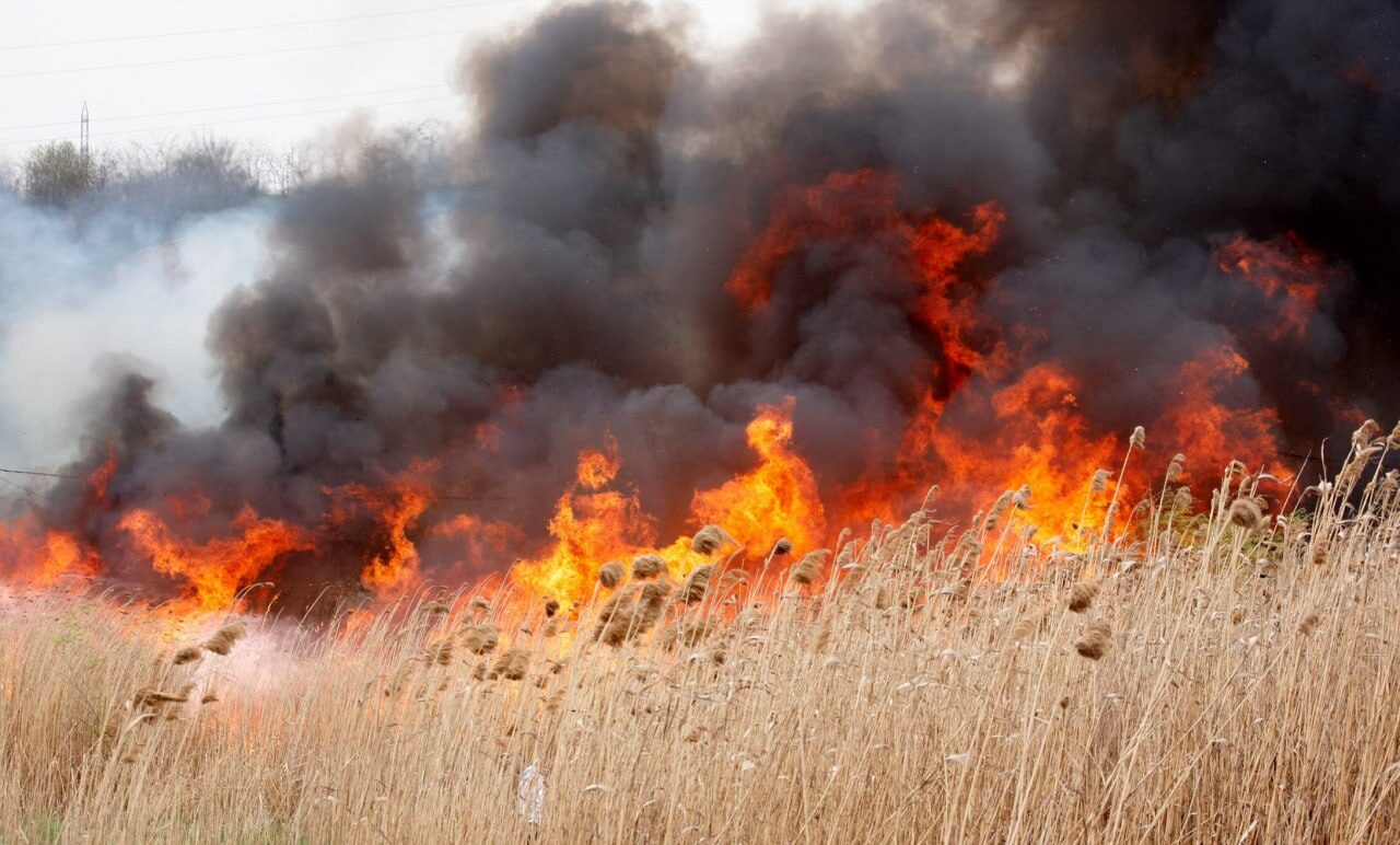 Mii de hectare de teren, distruse de incendii. Mai multe persoane, amendate de Inspectoratul pentru Protecția Mediului