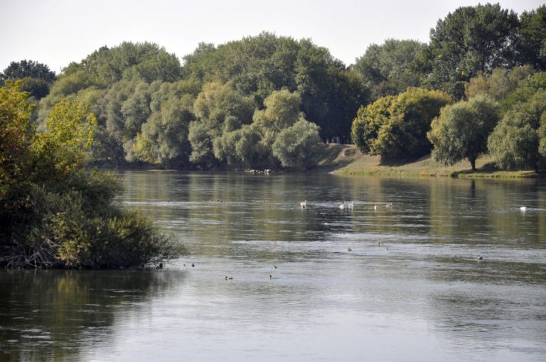 Nivelul apelor în râurile Nistru și Prut continuă să scadă. Avertizările hidrologilor