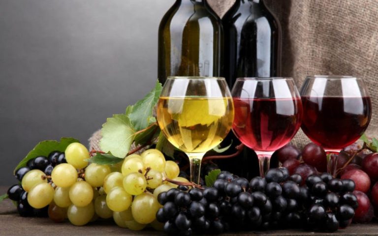 Revigorarea sectorului vitivinicol din Moldova: mai multă producție, accent pe calitate și extindere pe piețele externe