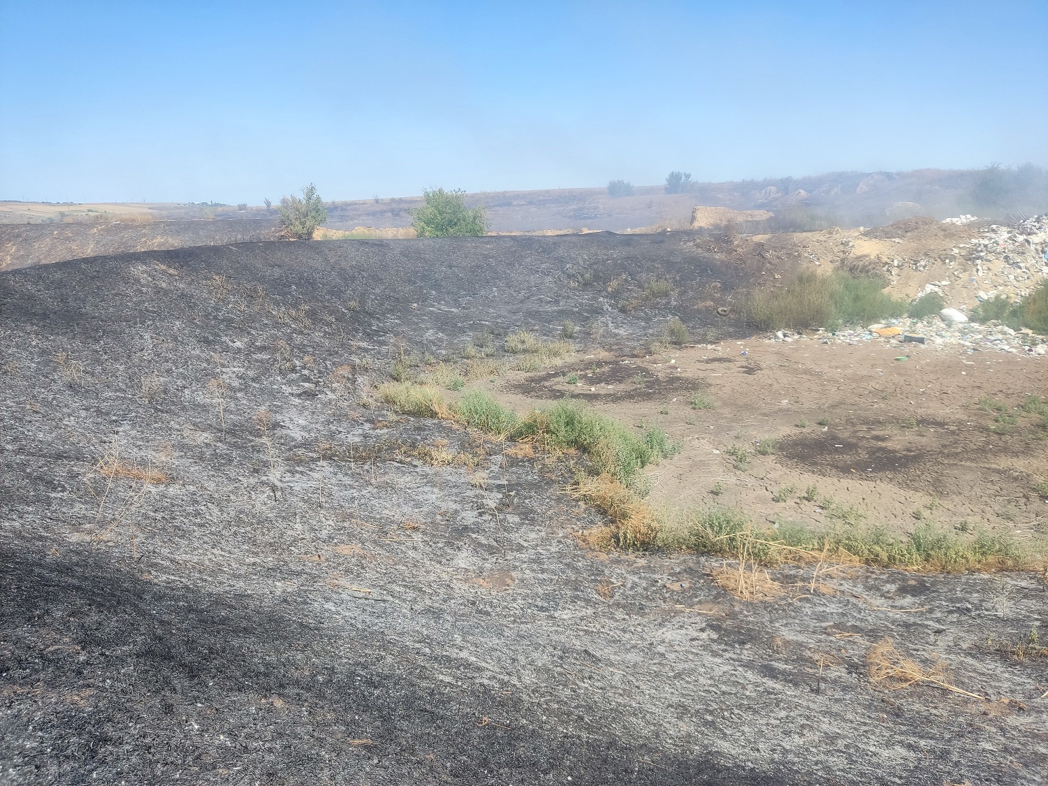 FOTO Incendiu de vegetație la Căușeni. Flăcările au afectat peste o mie de arbori și arbuști