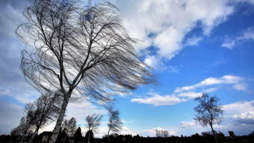 Alertă meteo! SHS a emis cod galben de vânt puternic, valabil în toată țara