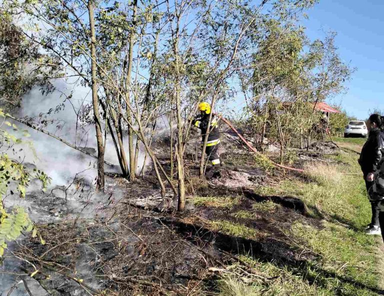 FOTO A dat foc resturilor vegetale, provocând un incendiu la Ocnița. Făptașul, identificat de inspectorii de mediu