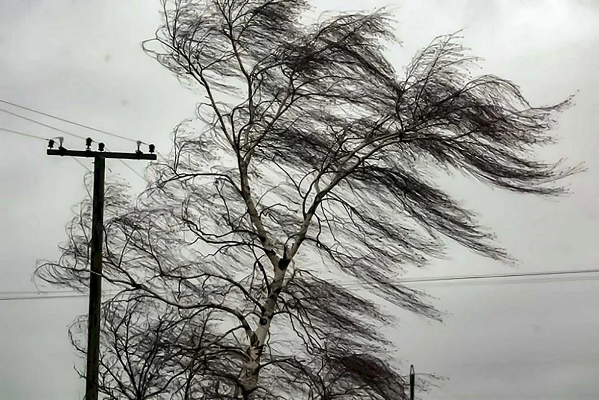 Meteorologii au emis COD GALBEN de intensificări ale vântului