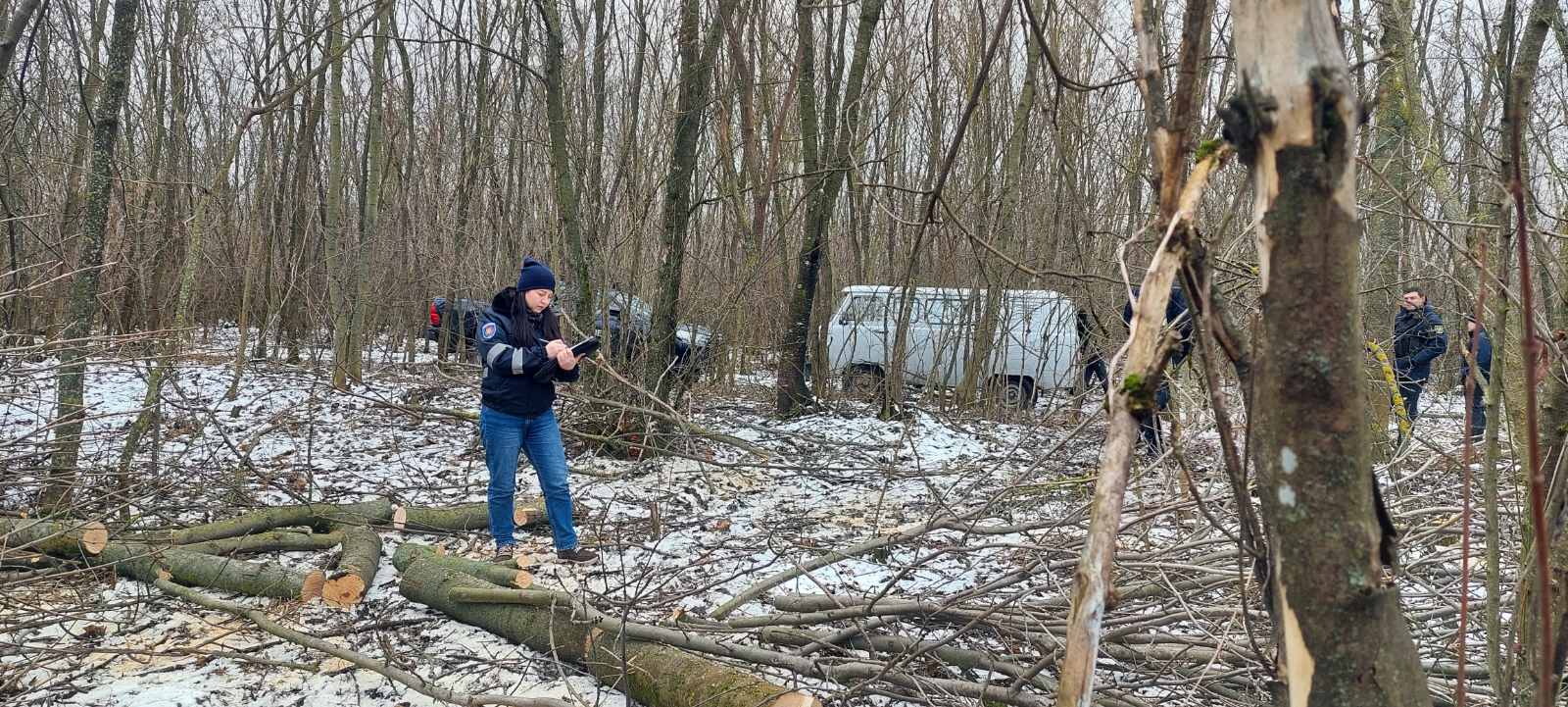 FOTO Defrișări ilegale în zona de frontieră: Două persoane, documentate de autorități