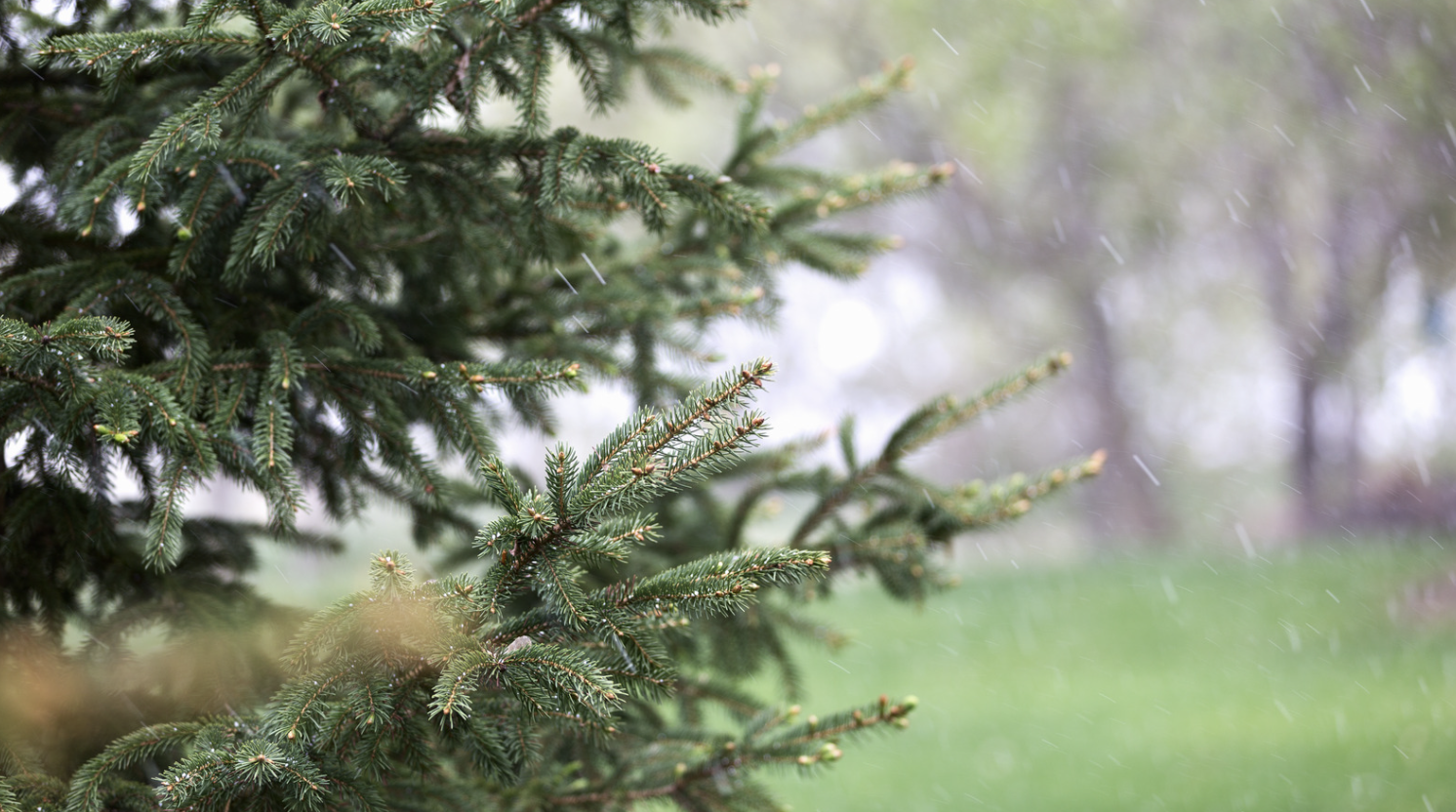 Meteo în weekend: Temperaturi scăzute și polei pe drumuri