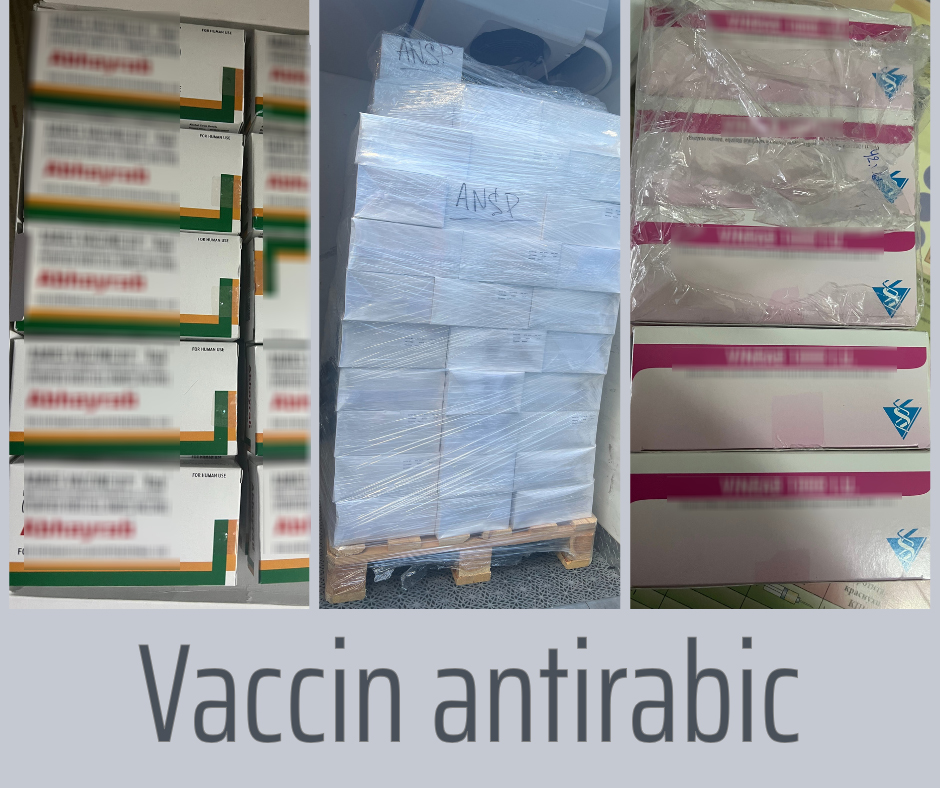 Lupta împotriva rabiei: A fost achiziționat, cu suportul CNAM, un nou lot de vaccinuri și seruri antirabice