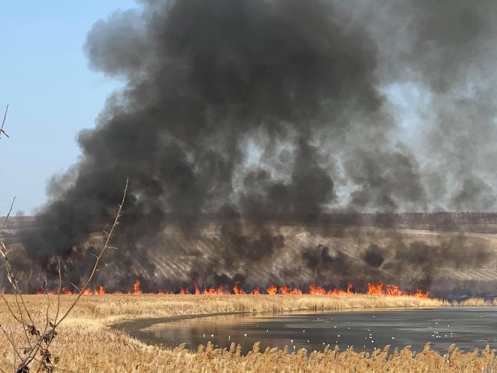 Incendiu în apropierea orașului Vatra. Pompierii au intervenit pentru localizarea flăcărilor