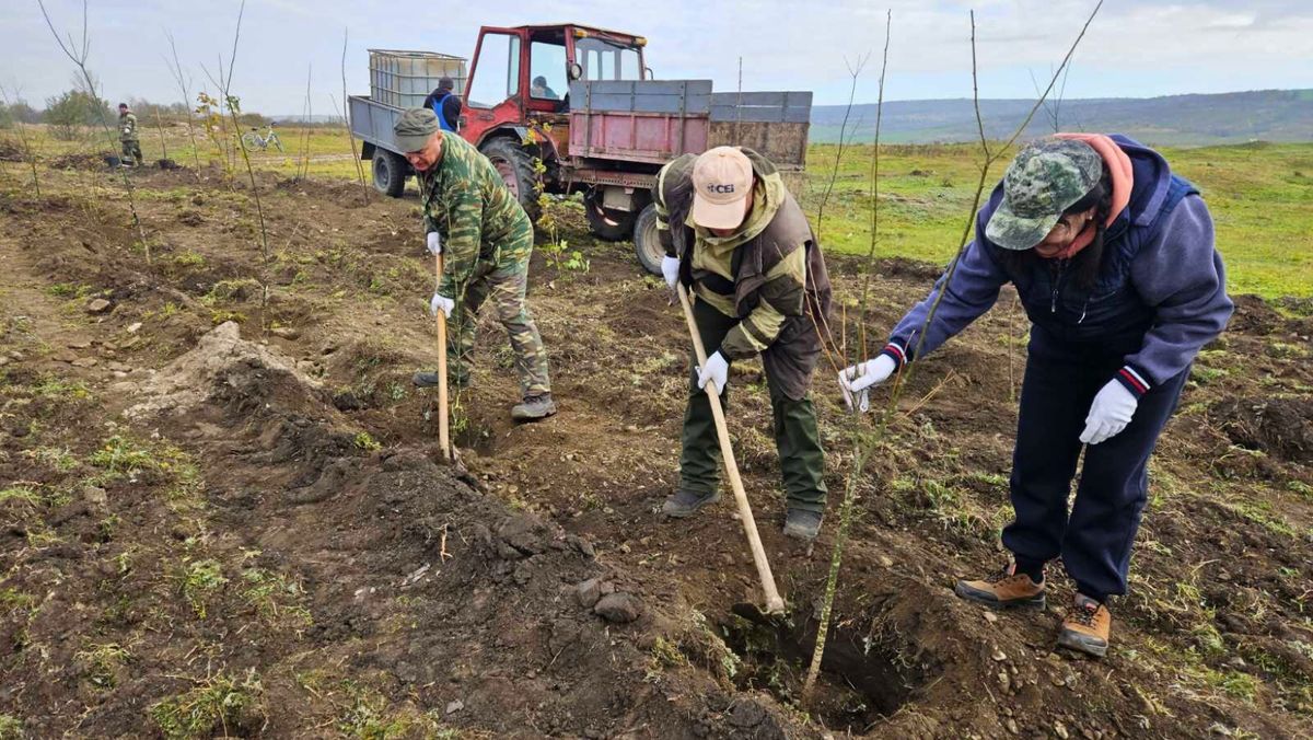 Plantarea arborilor la Geamăna, reprogramată pentru 15 martie din cauza condițiilor meteo