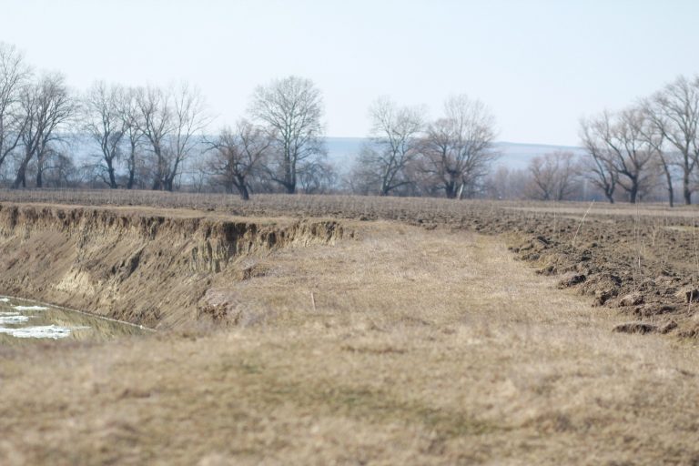 Hîncești teren pentru împădurire