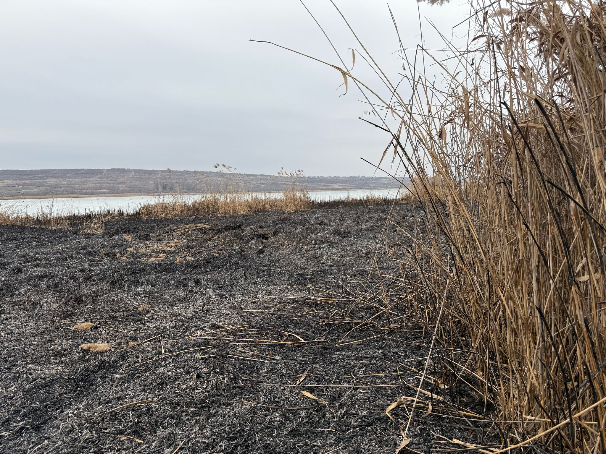 Ministerul Mediului intervine pentru prevenirea incendiilor de vegetație după cazul de la Ghidighici