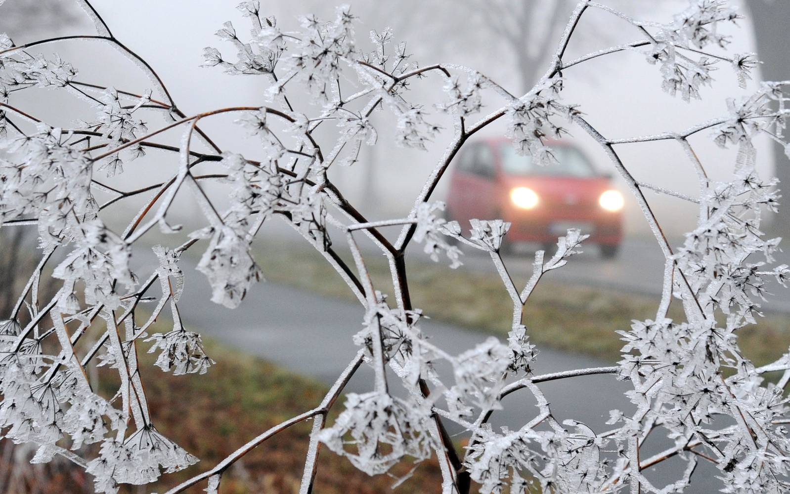 Prognoza meteo pentru 23 februarie: vreme rece și cer variabil