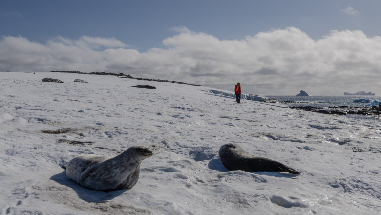 Gheața marină din Arctica, la cel mai scăzut nivel din istorie pentru luna februarie