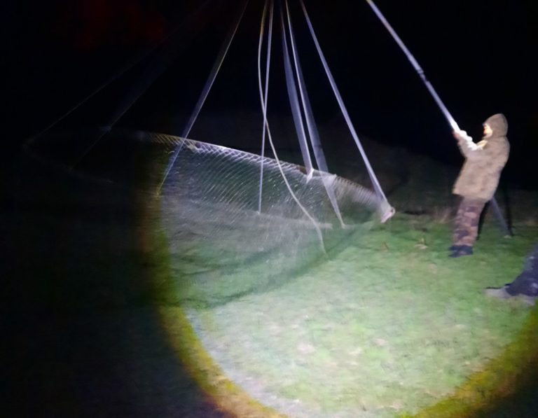FOTO Pescuit ilegal și arderi neautorizate depistate de inspectori la Ștefan Vodă