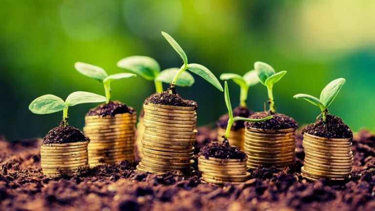 Sprijin pentru agricultură: Întreprinderile agricole primesc compensații pentru creșterea prețului la energia electrică