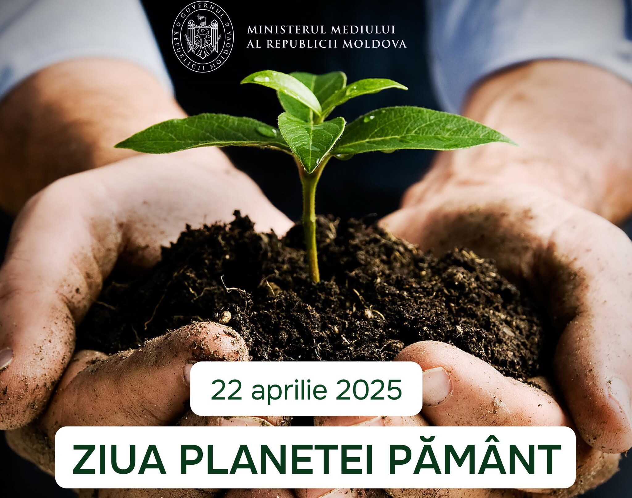 Astăzi marcăm Ziua Planetei Pământ. Ministerul Mediului vine cu sugestii simple pentru protecția planetei