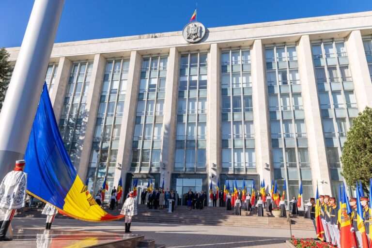 Acuzații la adresa Guvernului privind licențierea importurilor de cereale și oleaginoase. Cum răspunde Executivul