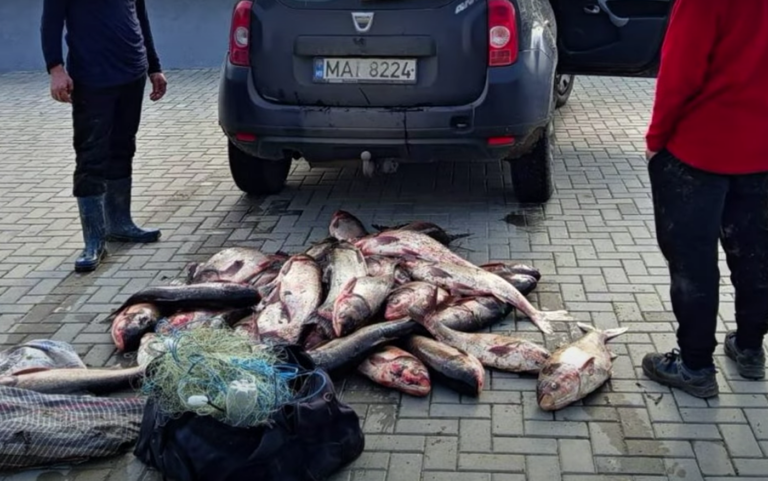 VIDEO Pescuit ilegal în perioada de prohibiție: Patru bărbați din Cahul, amendați