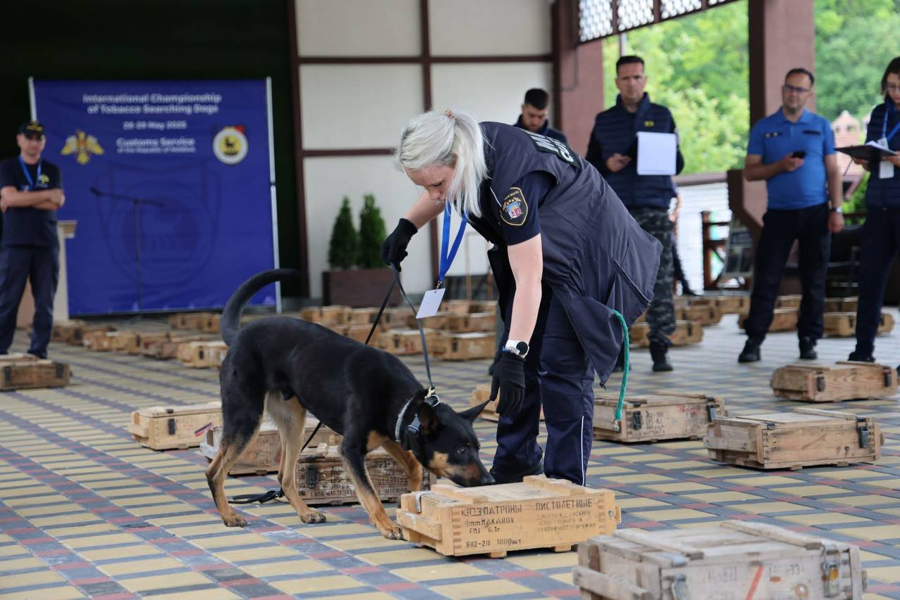 Moldova, gazda Campionatului Internațional al Echipei Canine. Cehia câștigă locul I, Moldova pe locurile II și III