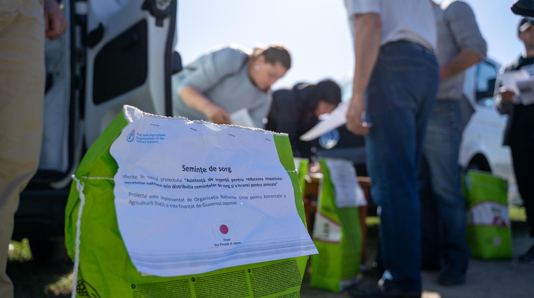 A început prima etapă de distribuire a semințelor de sorg. Primii fermieri norocoși sunt cei din Hîncești