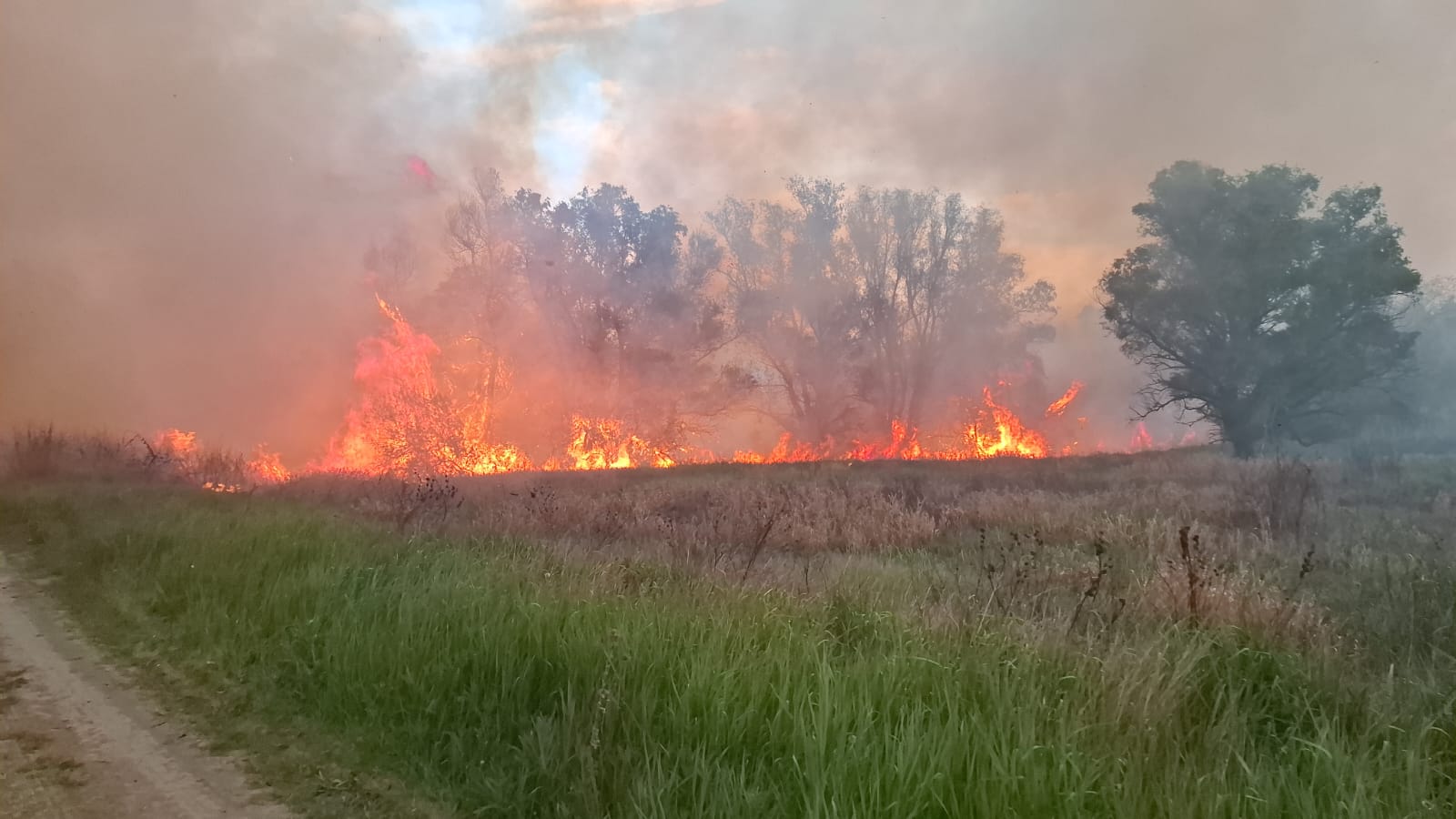 FOTO VIDEO Incendiu devastator în sudul țării: Zeci de hectare de stufăriș și cabluri electrice, distruse de flăcări