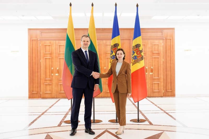 Întrevederea dintre Maia Sandu și Gintautas Paluckas: Lituania rămâne un susținător al parcursului european al Moldovei