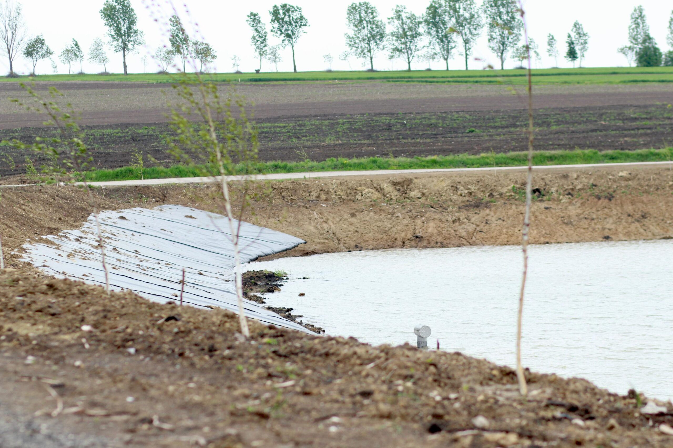 Iazul din Cepeleuți, readus la viață cu sprijinul Fondului de Mediu. A fost reactivată acumularea naturală a apei