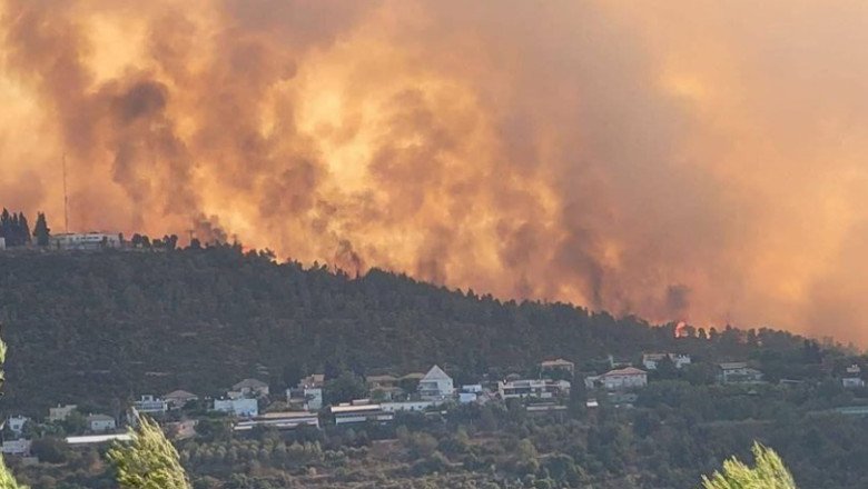 VIDEO Incendii devastatoare în regiunea Ierusalimului. A fost mobilizată armata, Israelul a cerut ajutor internațional