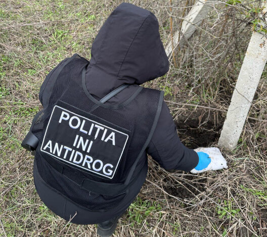 Droguri în valoare de peste 6 milioane de lei, scoase din circuit. Mai multe persoane au fost arestate