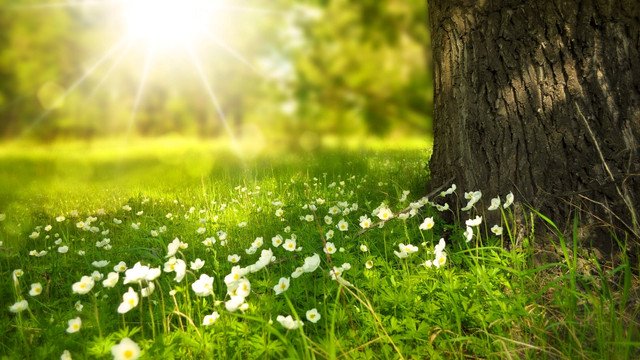 Prognoza meteo pentru 1 iulie 2025. Vreme stabilă, cu temperaturi plăcute de vară