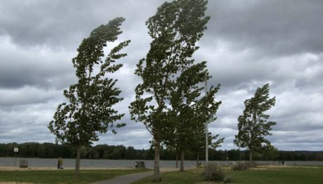 Vânt puternic în toată țara: intră în vigoare codul galben emis de meteorologi