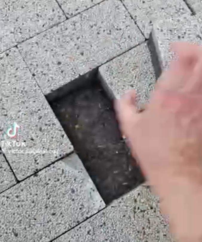 VIDEO Lucrări de mântuială pe strada Mihai Eminescu? Pavajul poate fi scos cu mâna