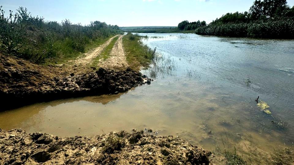 O pepinieră piscicolă din Crihana Veche, la un pas de dezastru. Digul de protecție a fost spart intenționat