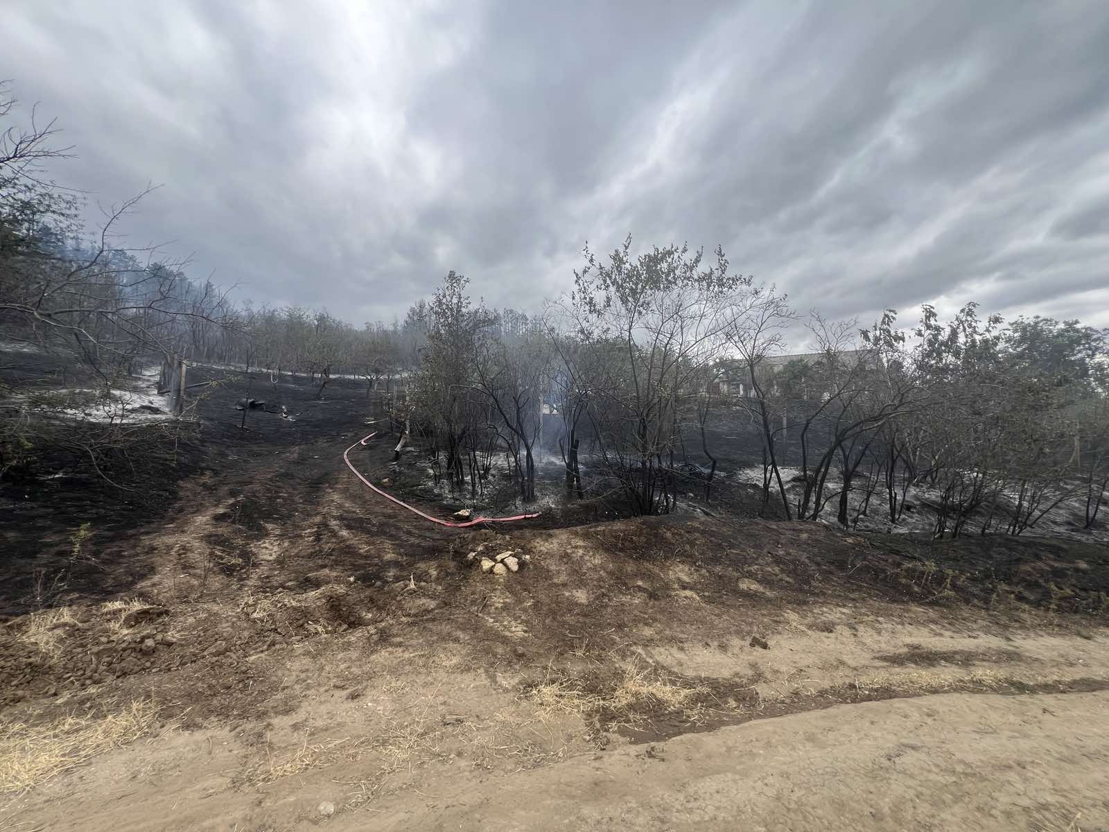 Incendiu devastator la Căușeni: Două persoane, sute de hectare de pădure și mai multe gospodării, salvate de pompieri