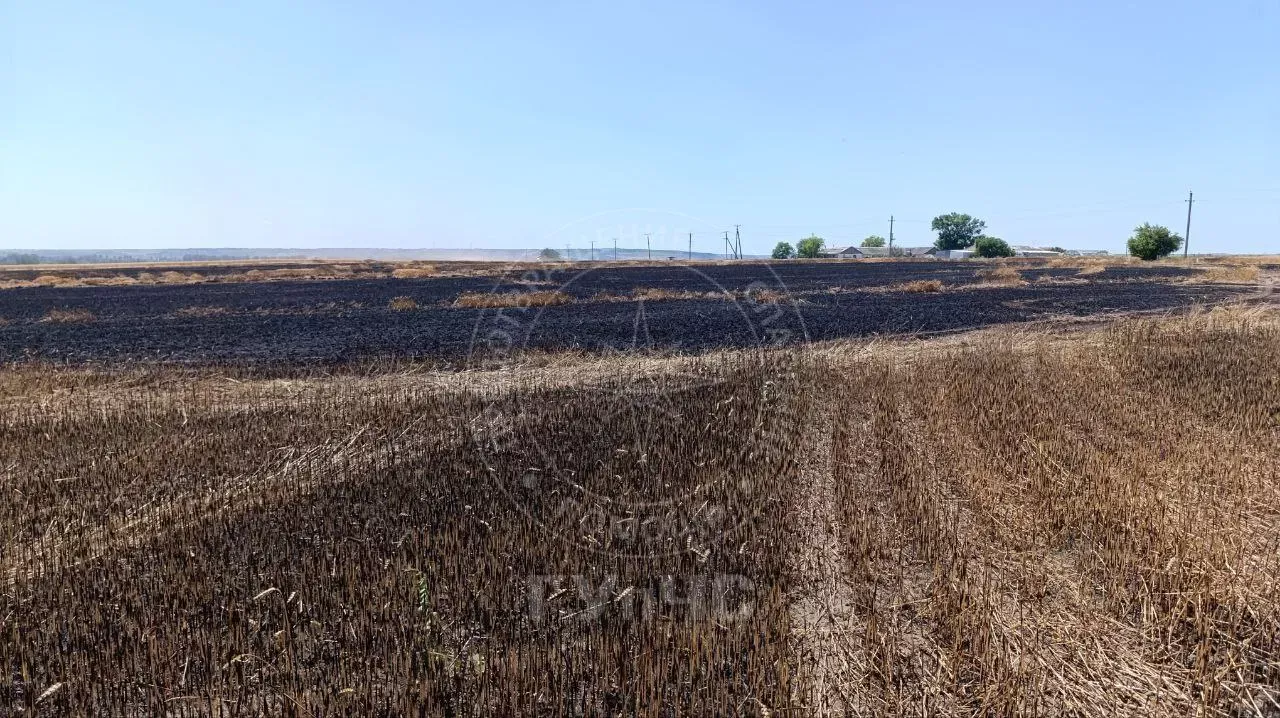 Incendiu de proporții în regiunea transnistreană: 50 de hectare de grâu, mistuite de flăcări