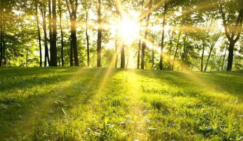 Săptămâna continuă cu temperaturi ridicate