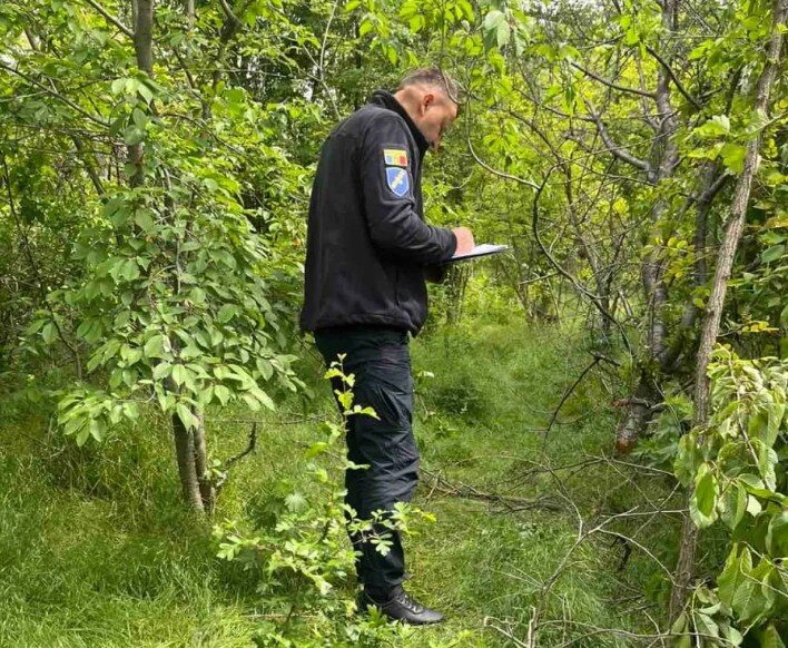 Tăieri ilegale de arbori în nordul țării. Făptașii, prinși și amendați 