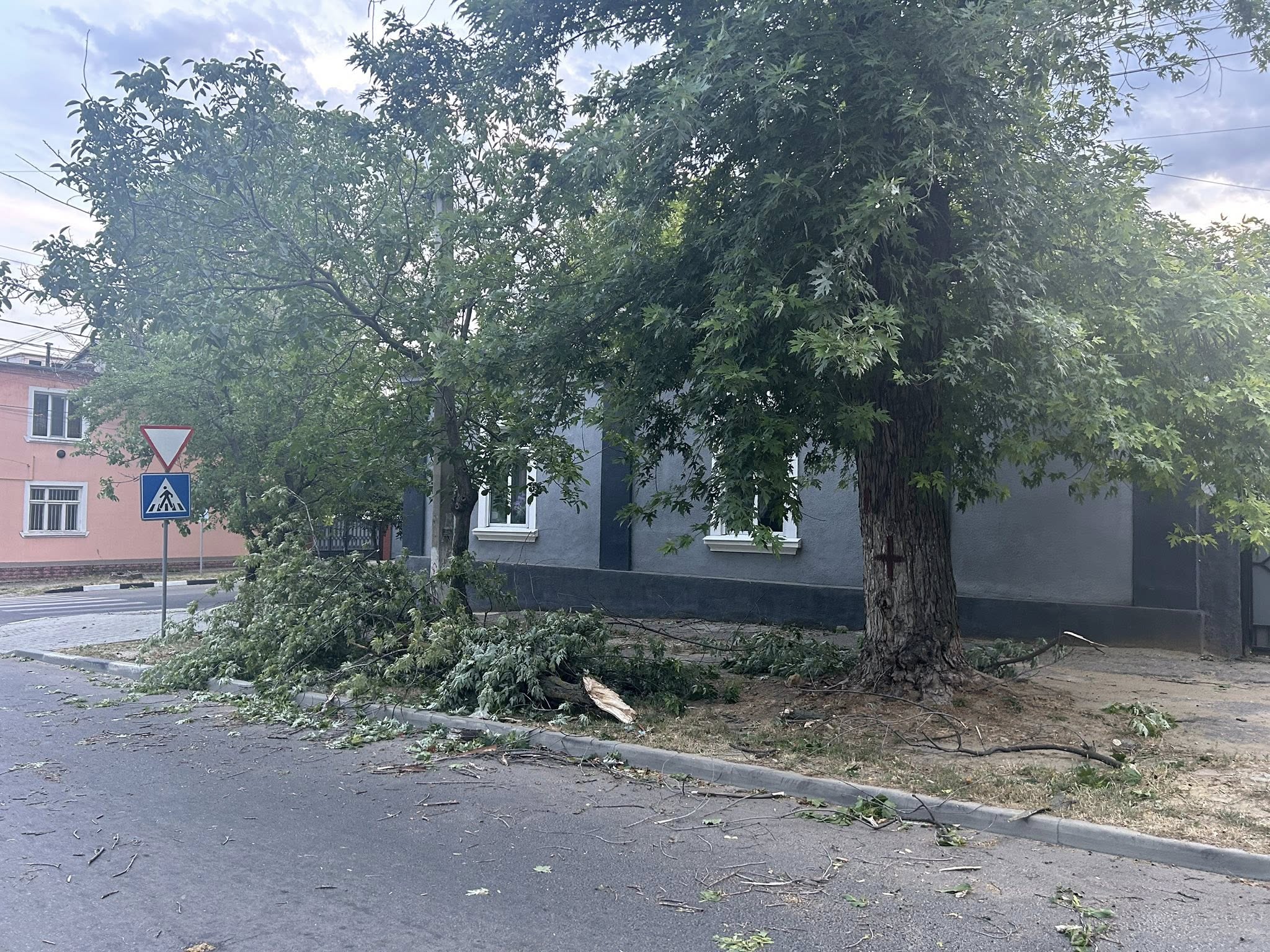 Vântul puternic a fărcut ravagii la Cahul: Acoperișuri smulse, arbori și crengi doborâte la pământ