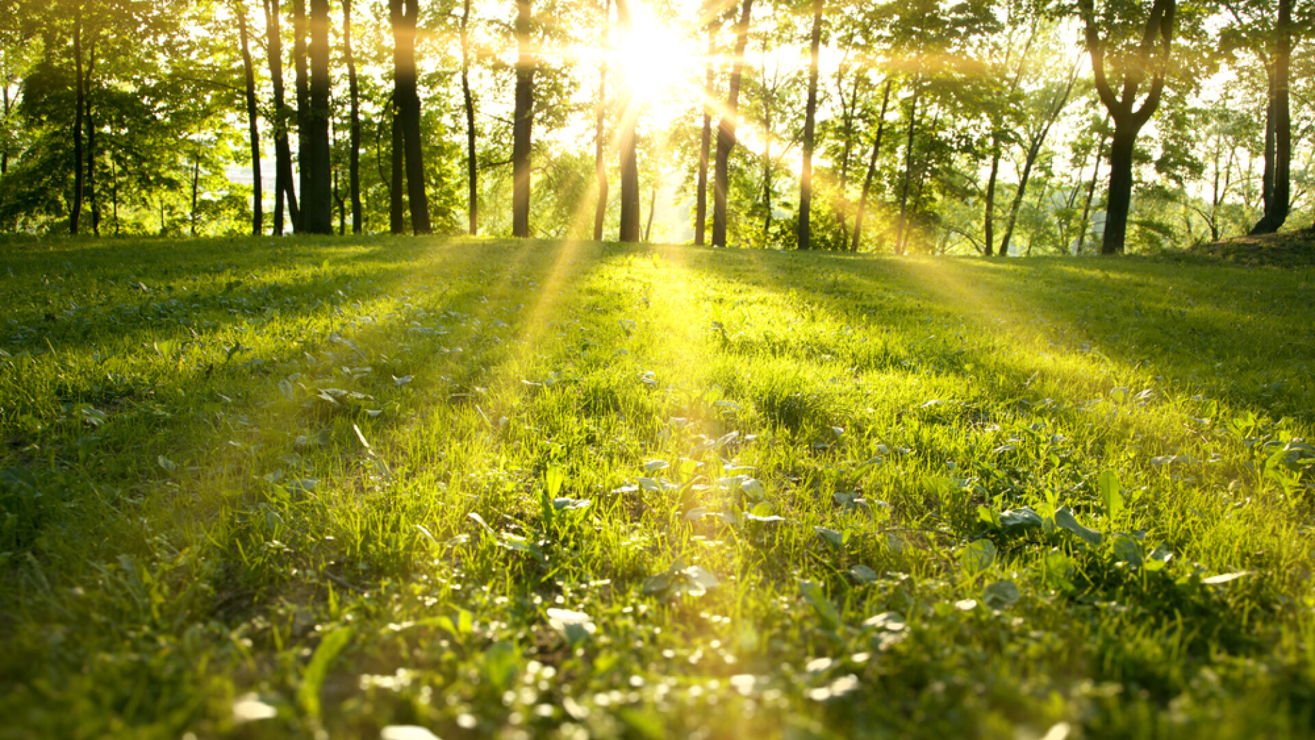 Prognoza meteo pentru 2 iulie 2025. Zi mai caldă, noapte mai rece – variații de temperatură în prognoza pentru mâine