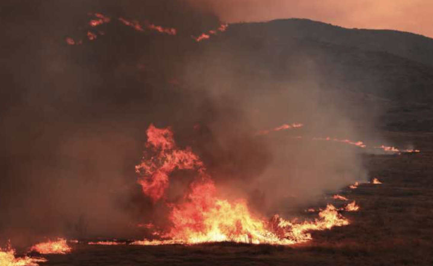 Cel mai mare incendiu din 2025 devastează California: peste 300 de pompieri luptă cu flăcările