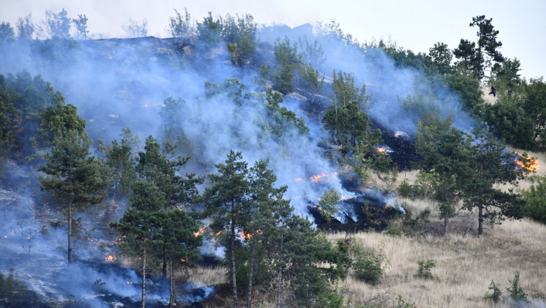 Macedonia de Nord, în stare de urgență din cauza incendiilor de pădure