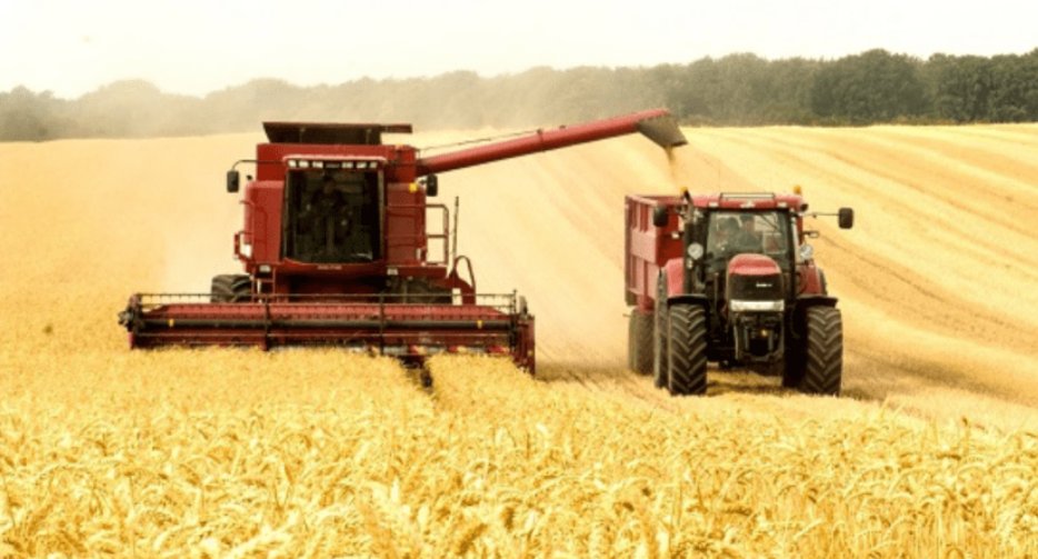 Subvenții pentru agricultori. AIPA a autorizat spre plată sprijin financiar de 28,7 milioane de lei
