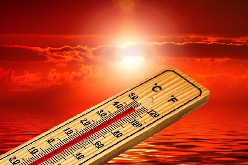 Canicula face ravagii. 1 180 de decese în Spania, în ultimele două luni