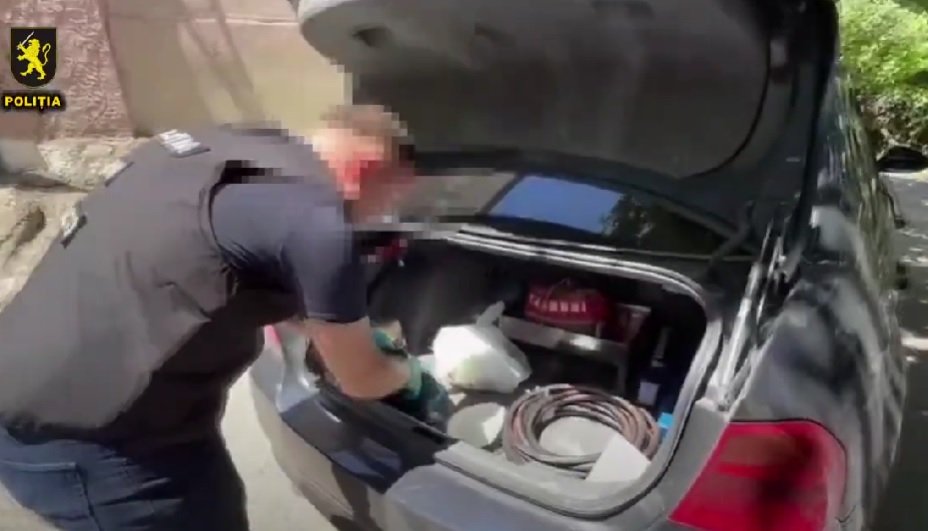 VIDEO Poliția a dat lovitura: droguri de aproape 700.000 de lei, confiscate