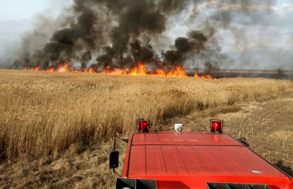 Incendiu de proporții la Comrat: Focul a cuprins zeci de hectare și continuă să se extindă